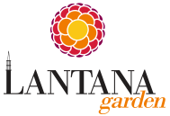 Lantana Garden